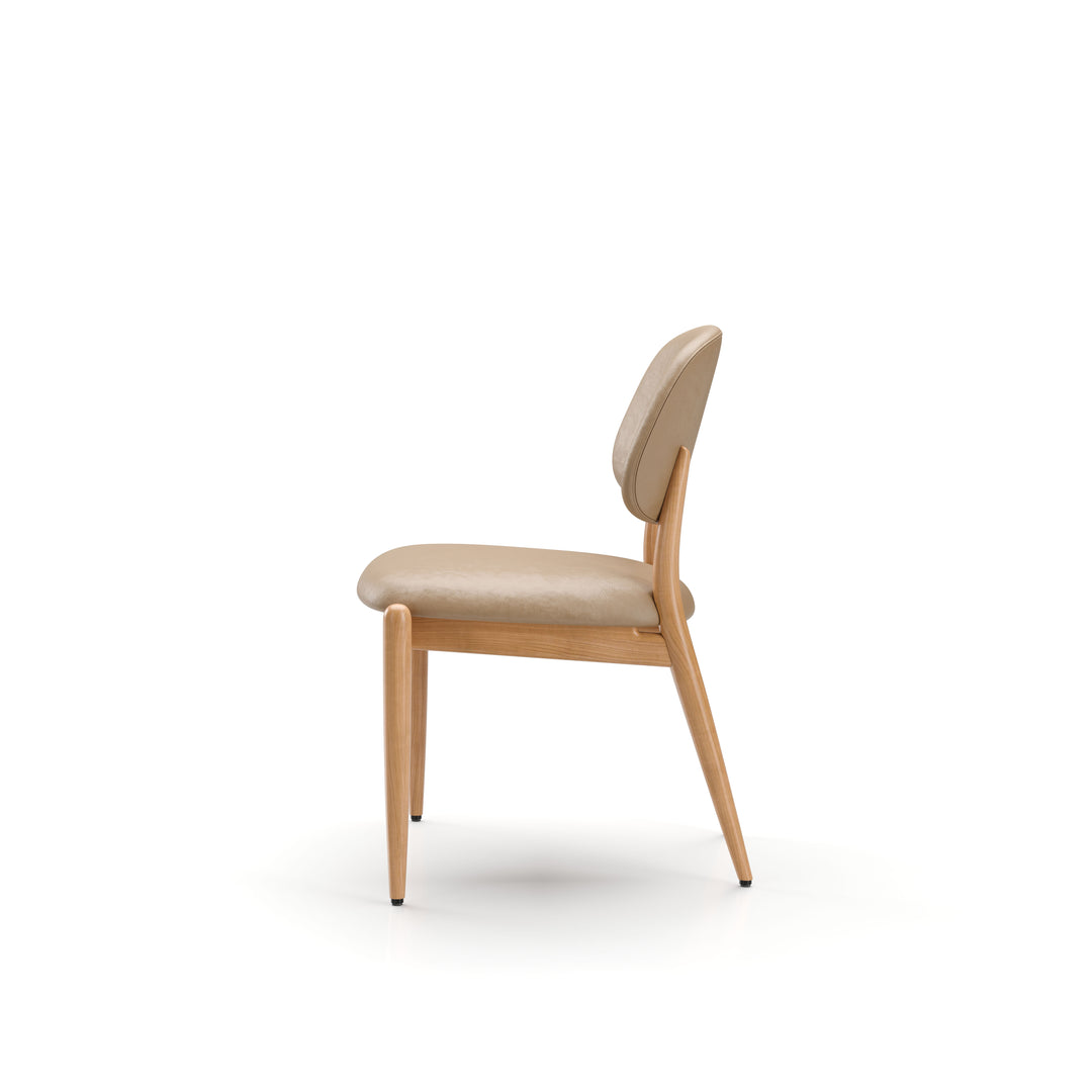 Slow Dining Chair